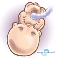 Embarazo... [Megapost]