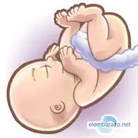 Embarazo... [Megapost]
