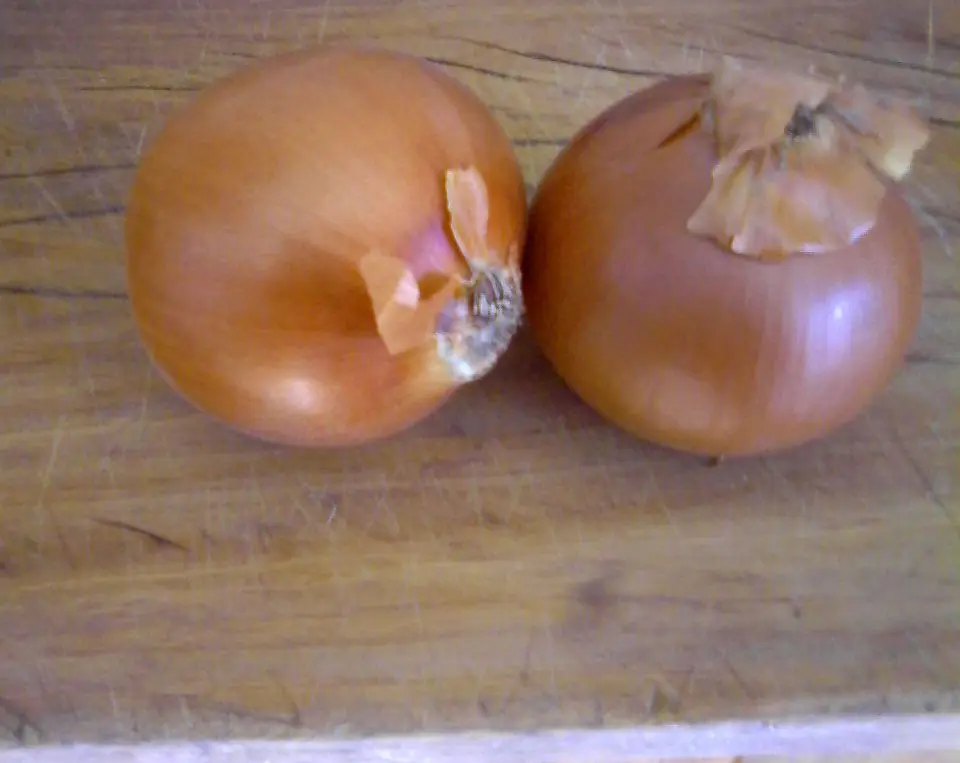 Hoy cocino Chupín!! Receta Casera!