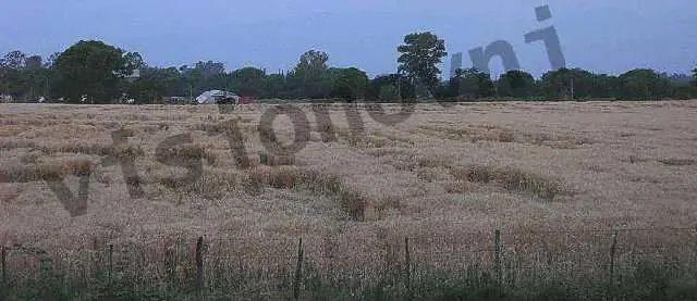 Reaparecen Agroglifos en Salta