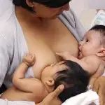 bebe