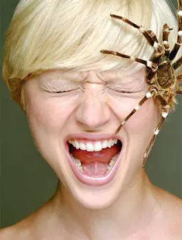 Fobias raras