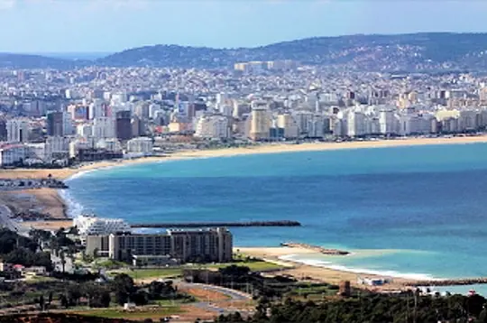 taringa