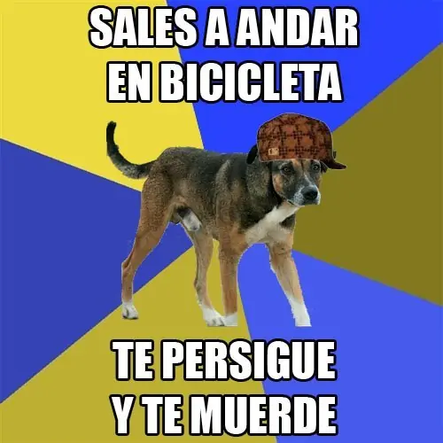 imagenes