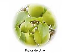 ... Umeboshi ... te salva de...