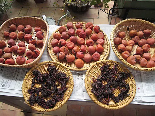 ciruela
