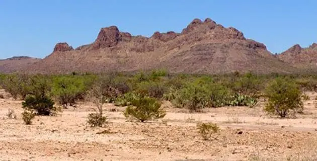 Desierto