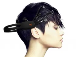 cerebro
