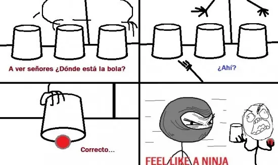 memes feel like a ninja