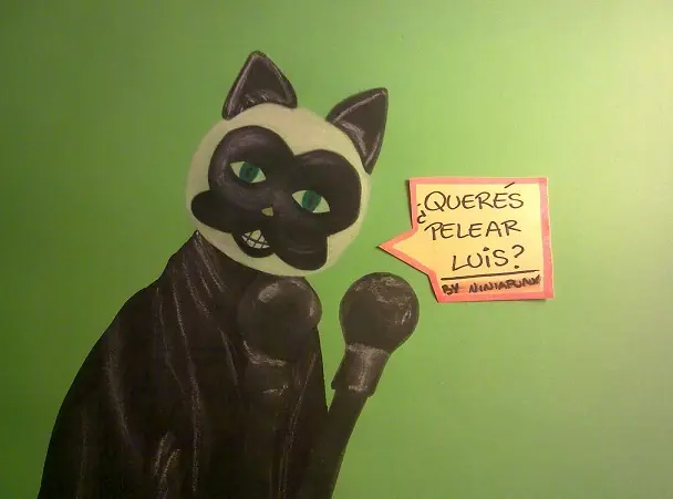 el gato