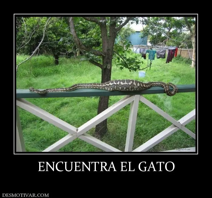 imagenes