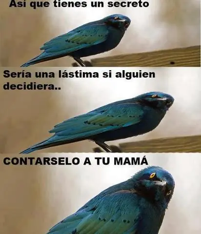 Humor Grafico