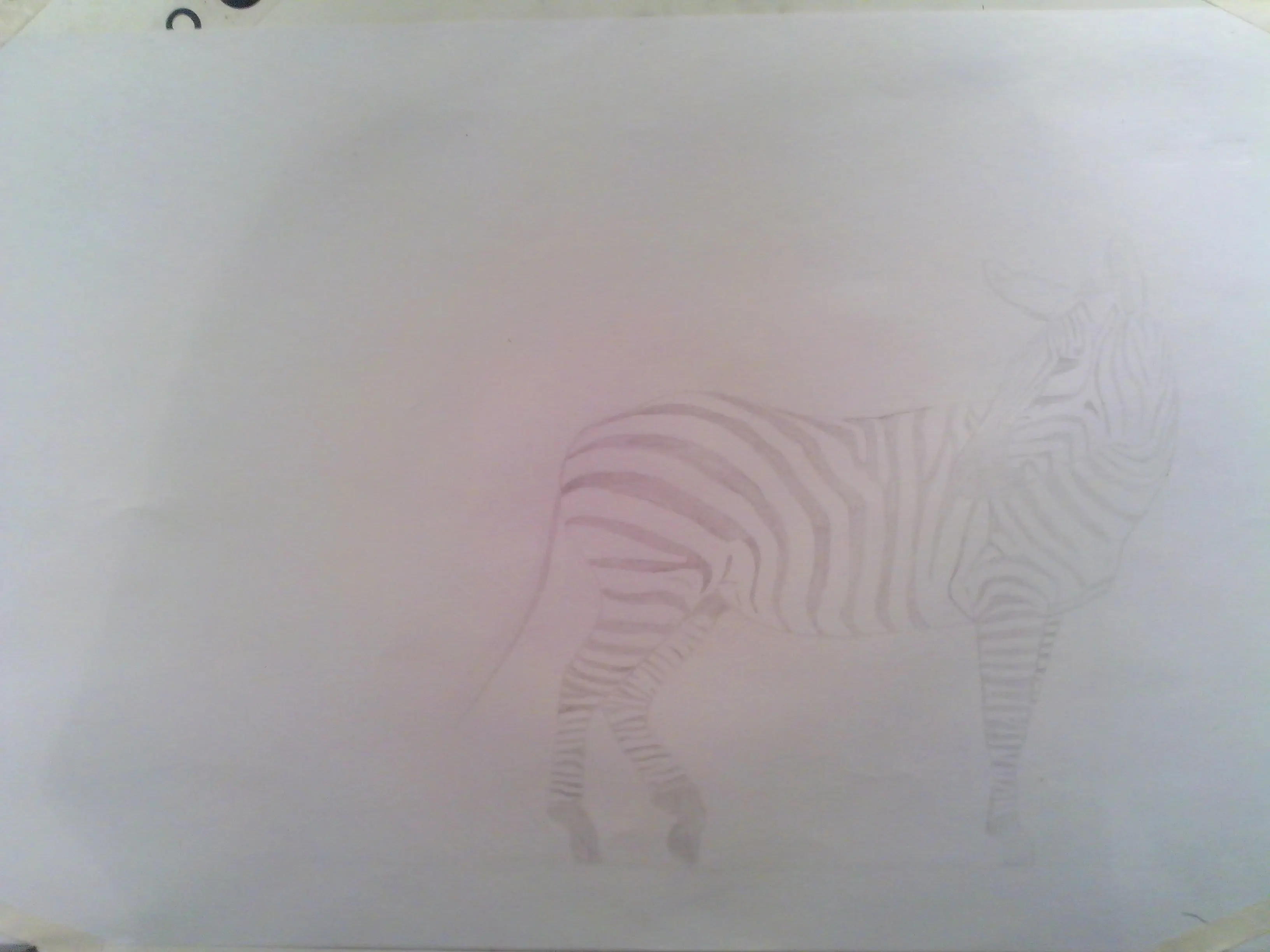 Dibuje (copie) unas cebras