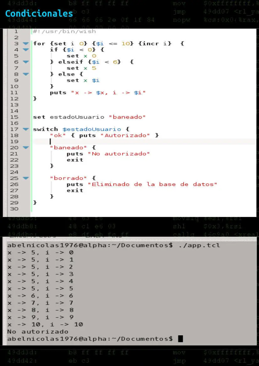 Lenguaje de programacion