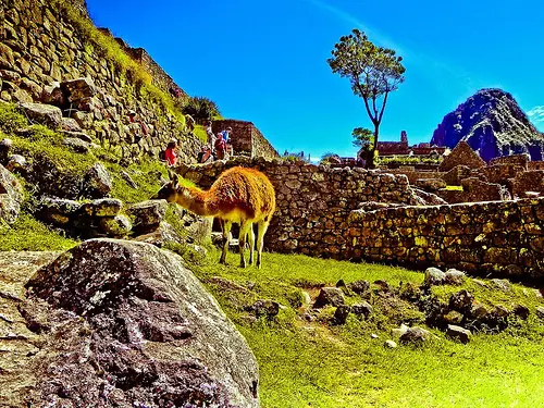 machu picchu