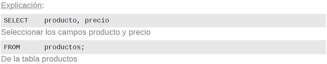 Lenguaje de programacion