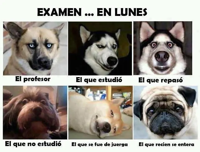 gracioso