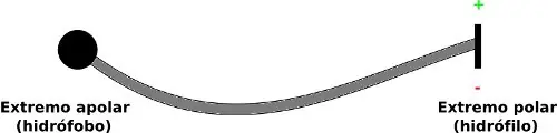 jabon