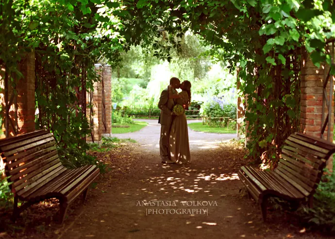 Fotografias de Bodas (Profesionales)