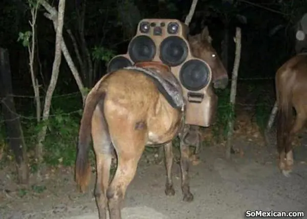 20 increibles ejemplos del ingenio mexicano