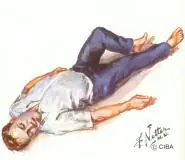 tipos