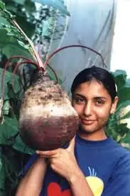 verduras