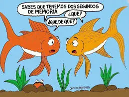 + 10 si te gustan estas imagenes XD