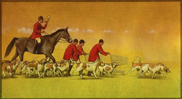 pawel kuczynski
