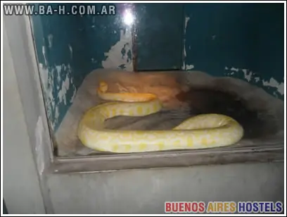 zoológico