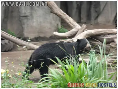 Zoológico de Buenos Aires, Palermo