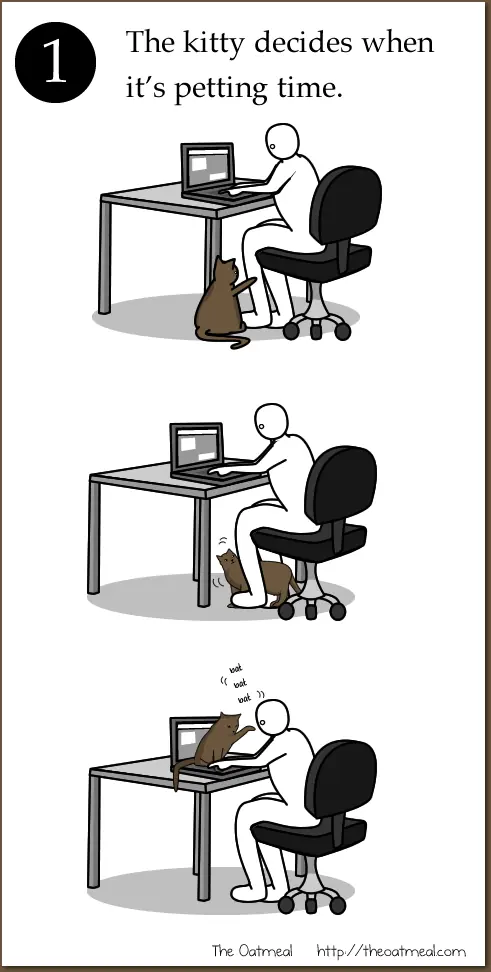 Para los que tienen gatos y saben como es :)