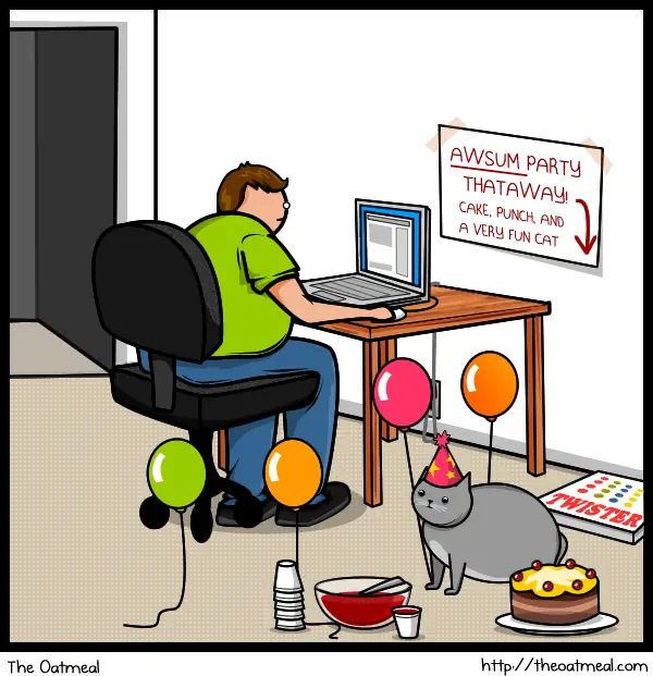 gatos