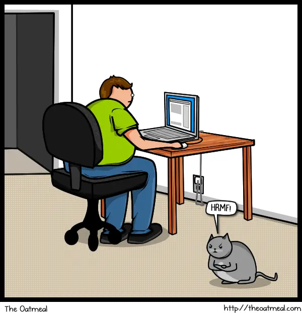 Para los que tienen gatos y saben como es :)