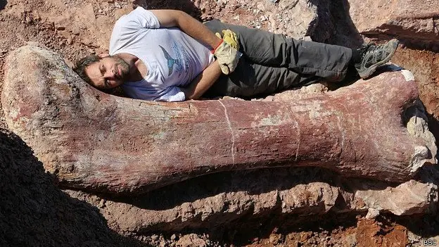 El descubrimiento del animal más grande que existió