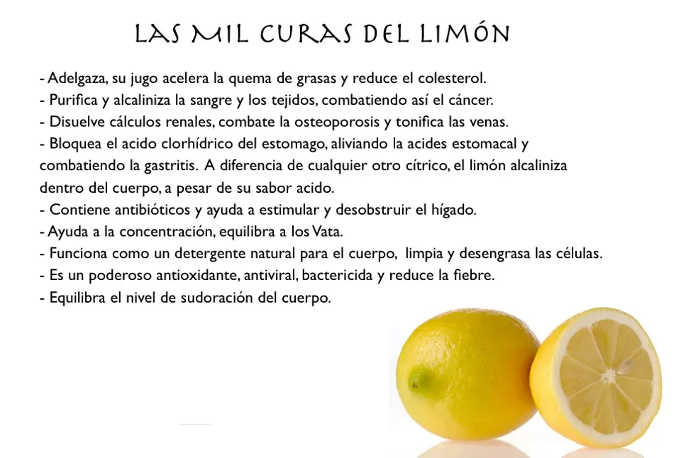 cerebro