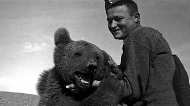 Historia de Wojtek, el oso de la guerra