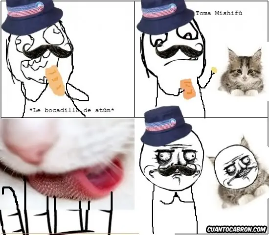 si tienes un gato mira esta viñeta(meme) y si no tambien :