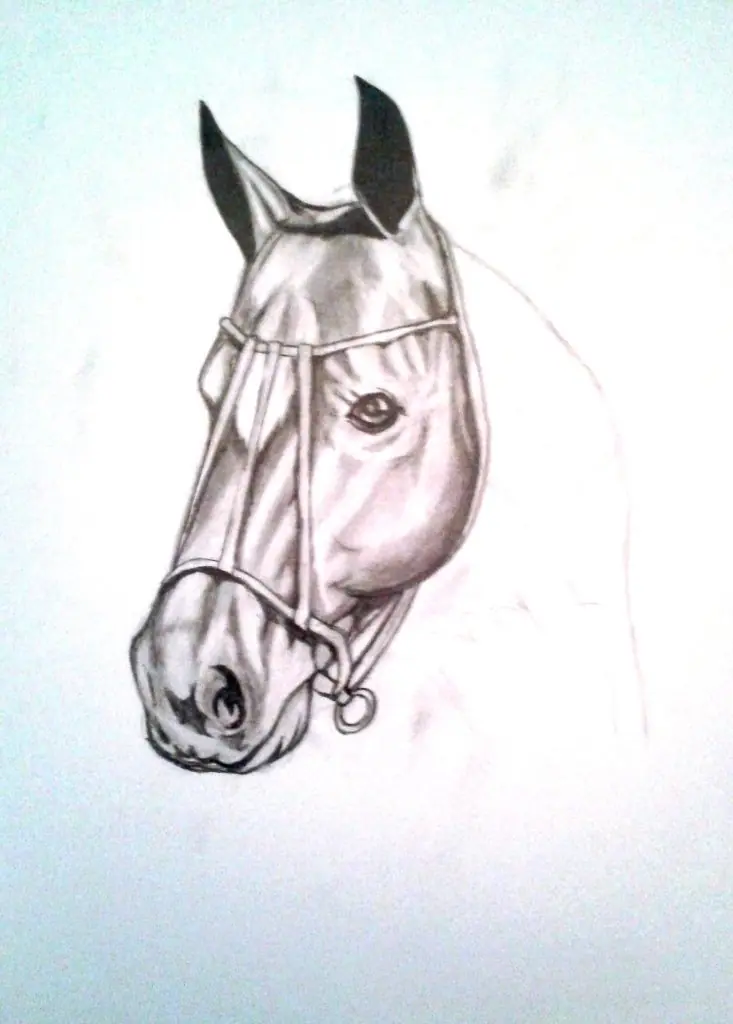 Algunos de mis dibujos...