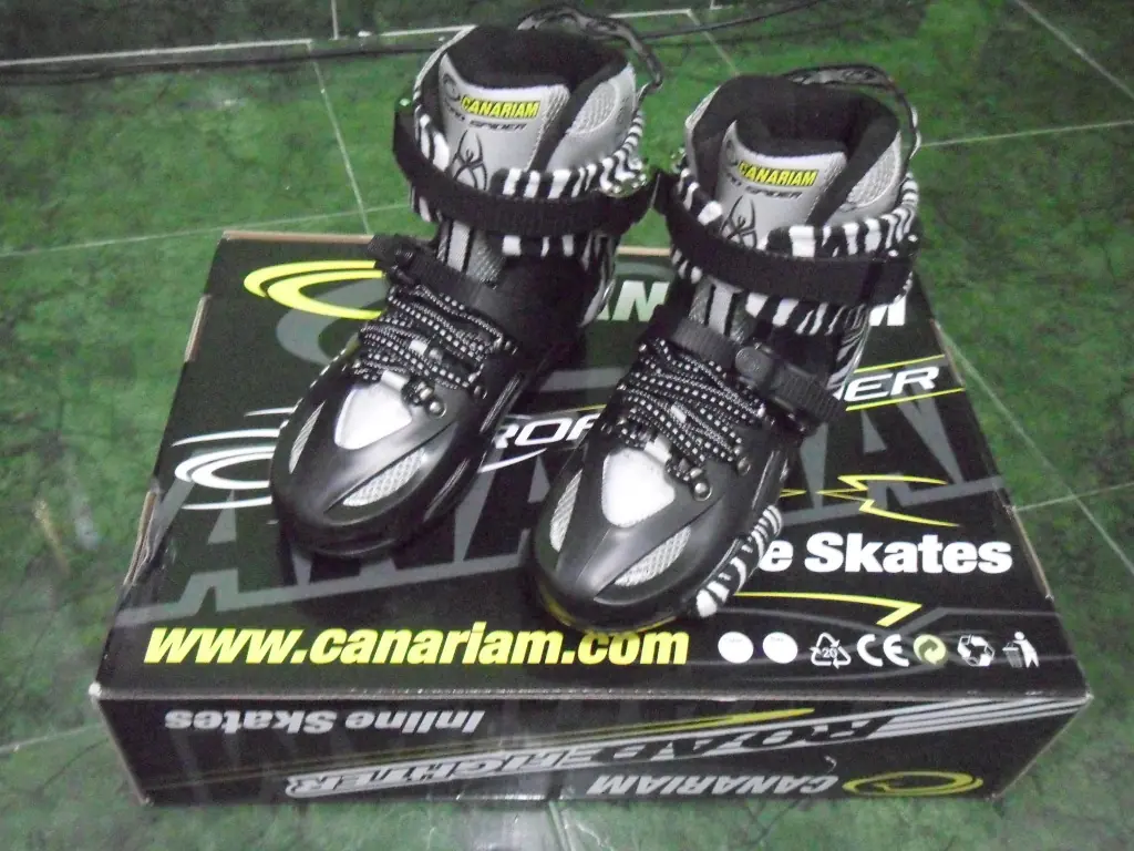 Como lo hice... Personalizando patines (animal print)