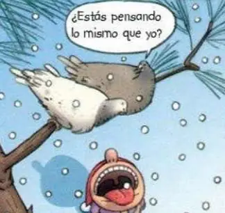Chistes