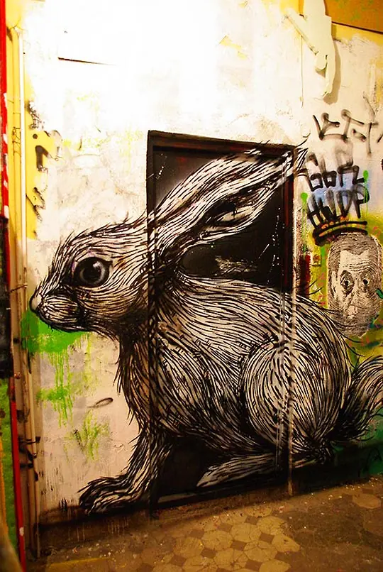Arte Urbano : ROA
