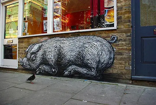 Roa