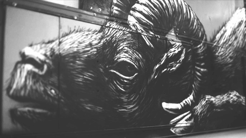 Arte Urbano : ROA