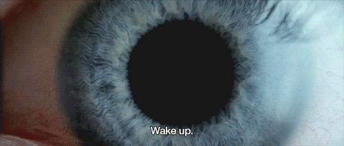 donnie darko