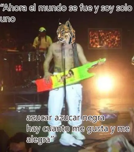 Lince no se duerme hasta que se acaba#1