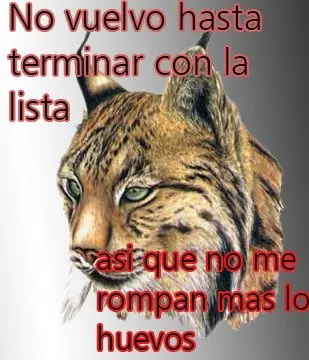 Lince no se duerme hasta que se acaba#1