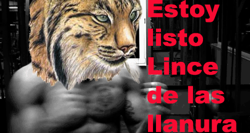 lince