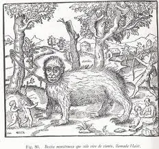 Casos zombies en la historia: (III) "Especies del nuevo