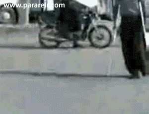 Gifs
