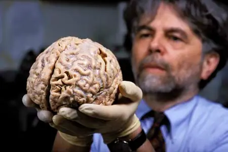 ¿Le gustan al cerebro los libros electrónicos?